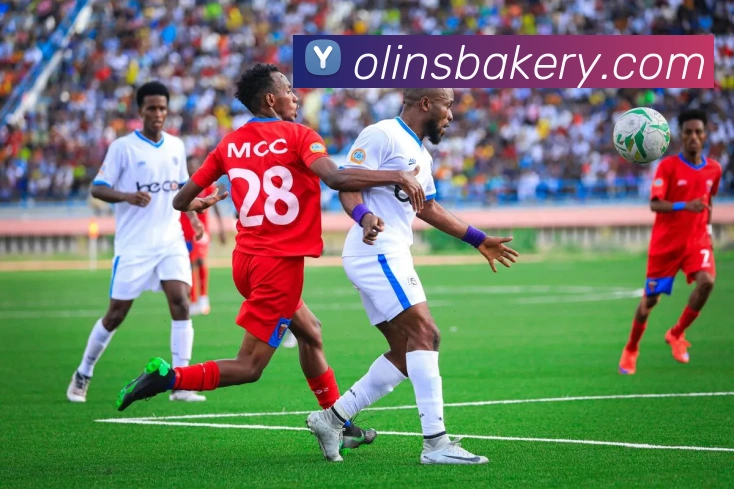 企业概况